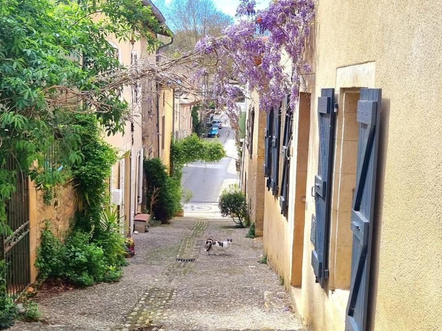 Romantique Room St Michel De Lanes Saint-Michel-de-Lanès Dış mekan fotoğraf